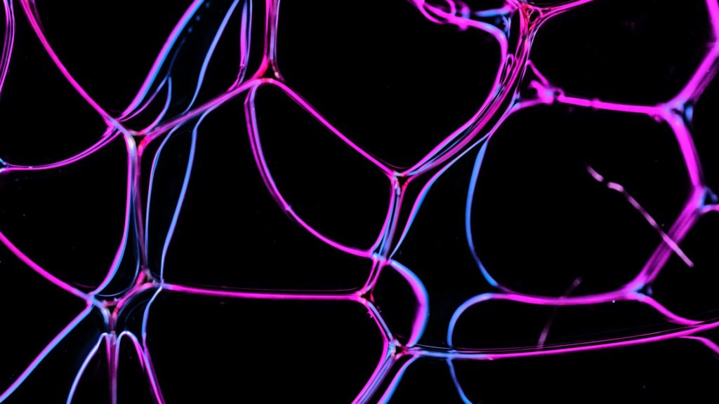 ОБРАЗОВАНИЕ ЕГЭ ТИПОВЫЕ ТЕСТЫ ОБЩЕСТВОЗНАНИЕ